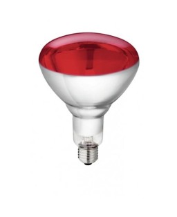 Ampoule de rechange infra rouge 250W 835088 PROVIDOM 54