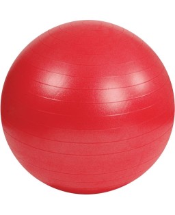 Ballon fitness Gym Ball Mambo - 55 cm 403035 PROVIDOM 54