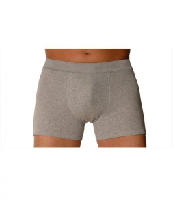 Shorty homme gris - Taille 2 801065.T2 PROVIDOM 54